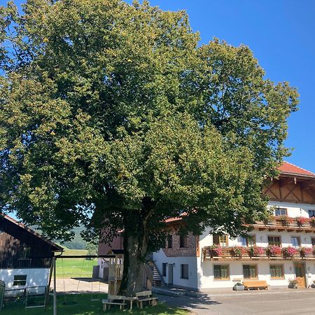 Biohof-Feichtinger Apartment Zell am Moos Exterior foto