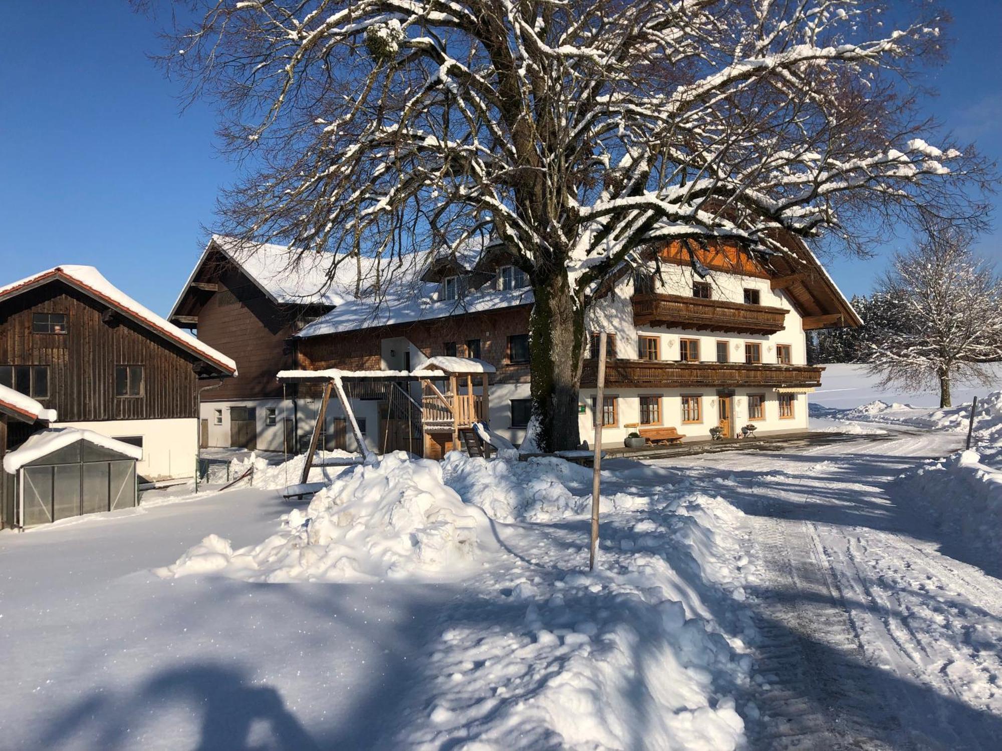 Biohof-Feichtinger Apartment Zell am Moos Exterior foto