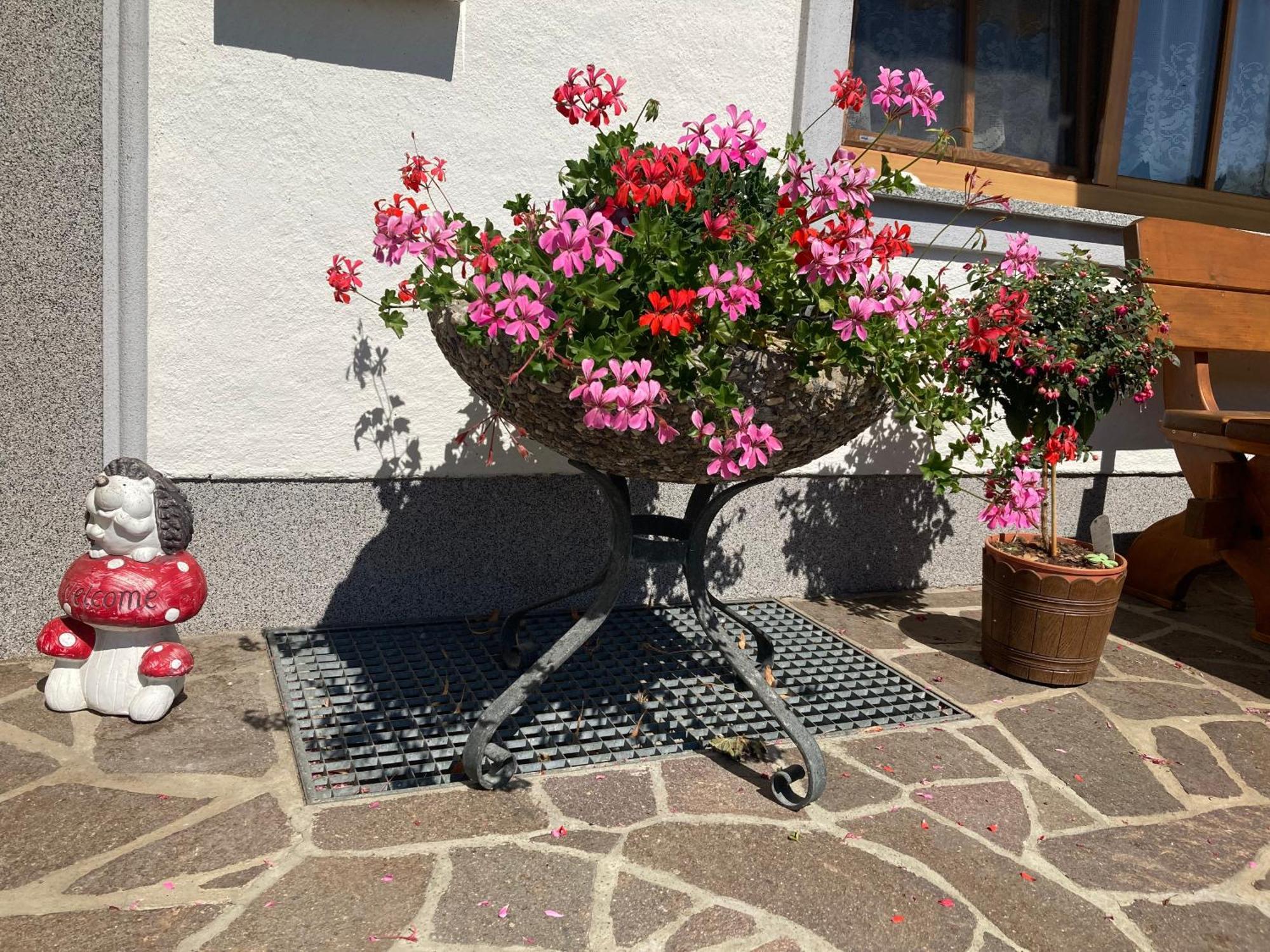 Biohof-Feichtinger Apartment Zell am Moos Exterior foto